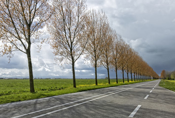 Dutch country