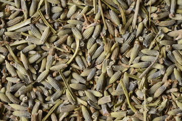 Lavanda, composición como fondo