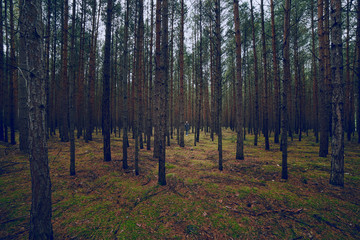 Fototapeta premium Camping outdoor adventures in the Mountains, Wandern in den Bergen Abenteuer