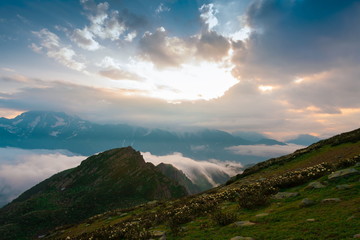 Fototapeta premium Mountain summer. Sunset. Rocky landscape