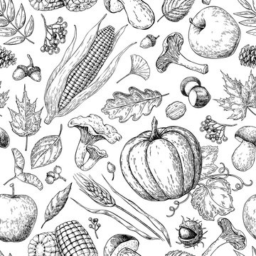 Harvest products seamless pattern. Hand drawn vintage vector background with pumpkin, apple, corn, wheat, muchroom.