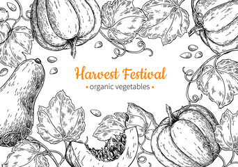 Pumpkin vector frame. Hand drawn vintage Harvest festival illustration. Farm Market sketch