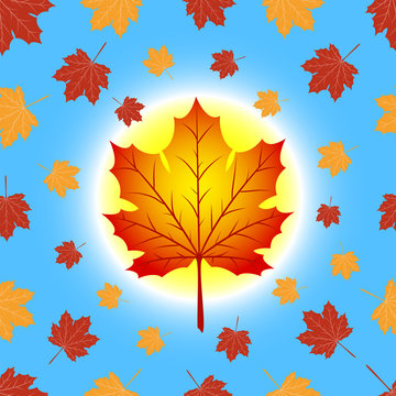 Pattern maple leaf