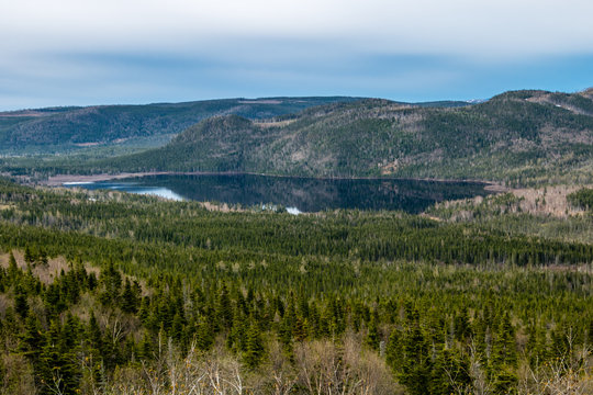 A loook at the valley from the Roadside, Gros Morne National Park, Newfoundland, Canada