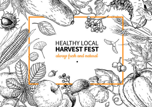 Harvest festival. Hand drawn vintage vector frame illustration with vegetables, fruits, leaves.