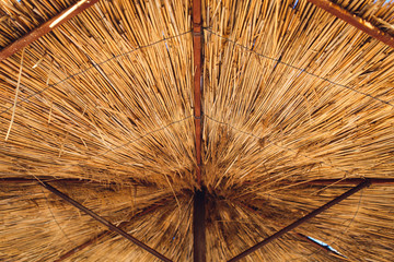 background reed umbrella close-up view from below.