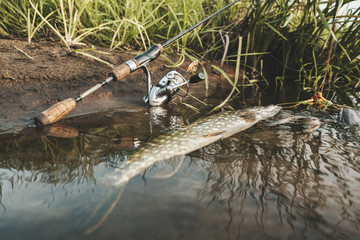 Fishing gear on the river bank.