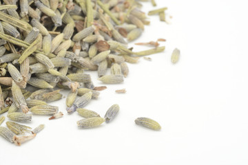 Lavanda seca sobre fondo blanco