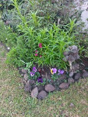Primavera de Flores y plantas en Buenos Aires.