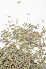 Lavanda seca sobre fondo blanco