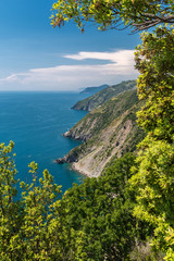 Naklejka premium The coastline of Liguria, in the Cinque Terre area