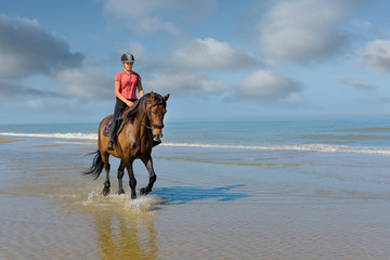 belle cavalière au trot les pieds dans l'eau