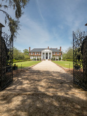 South Carolina Boone Hall plantation scenic view from movie set
