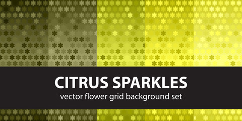 Flower pattern set Citrus Sparkles. Vector seamless backgrounds