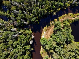 Река в лесу летом с воздуха сверху created by dji camera