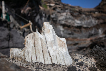 A white salty piece of wood sticking out of the rock is like a toy castle. Close-up.
