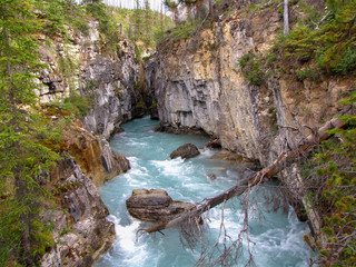 Spectacular view on the turquoise glacial water of Marble Canyon, Kootenay National Park in the Canadian Rockies of British Columbia, Canada.