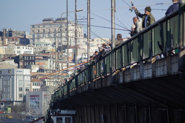 Fishermans on the galata bridge
