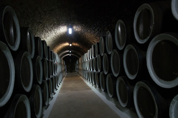 wine cellar with barrels