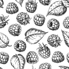 Raspberry seamless pattern. Vector drawing. Isolated berry sketch on white background.