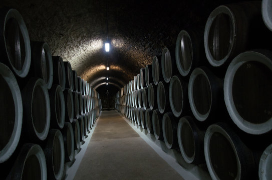 wine cellar with barrels