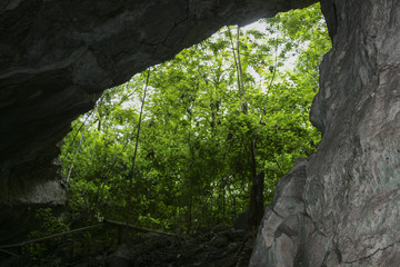 Entrada de gruta a partir do lado de dentro, com vista para floresta 