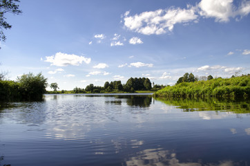 a big river around trees and greens