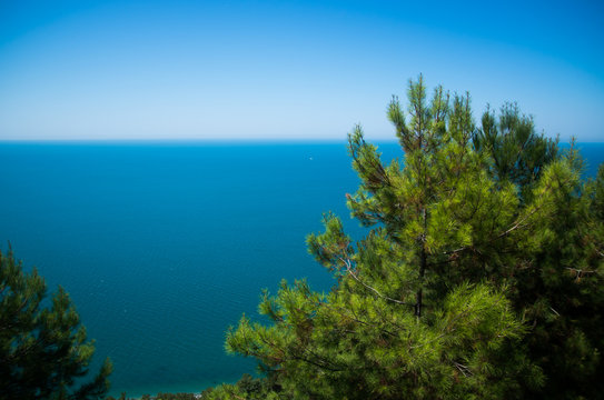 sea