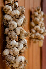 Garlic bunch: Garlic was ready to use in a group of bunch