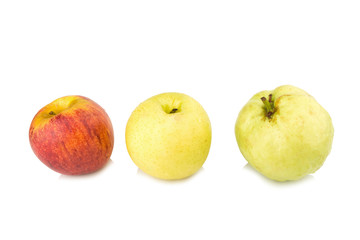 fruit traffic light concept. apple red. chinese pear yellow. guava green. isolated on white background