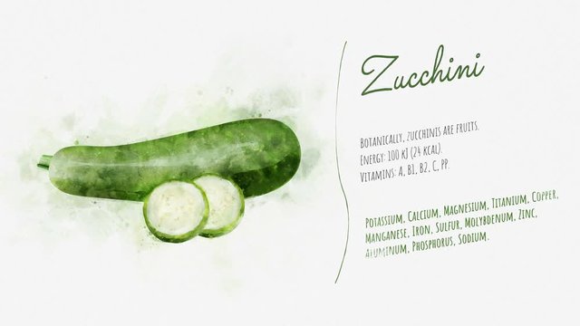 A beautifully animated card with information about Zucchini
