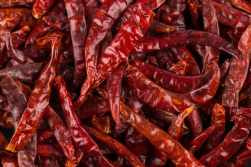 dried chili as a food background