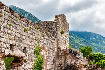 Fototapeta premium Old fortress near Kotor, Montenegro