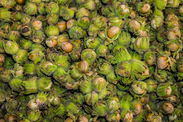 harvest of hazelnuts, harvested in a box