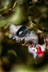halloween horror zombie