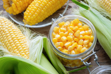 Canned sweet corn in glass jar, fresh and cooked corn on cobs. Top view.