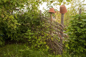 Wicker fence with clay pots among the thickets tree in a village
