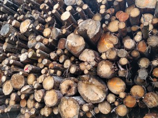 A pile of wood logs