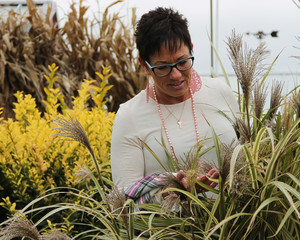 Woman looking closely at plants in farm field.