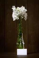 white flower in a vase on dark wood background, blank paper sheet for memo or messages