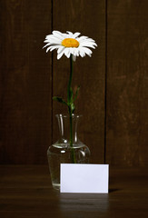 white chamomile flower in a vase on dark wood background, blank paper sheet for memo or messages
