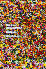Lisbon, Portugal - June 11, 2018: Flowers on a wall during a festival in Lisbon