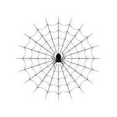 Spider web and spider on a white background. Vector illustration