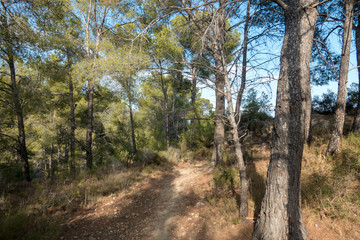 The desert park of Las Palmas in Castellón