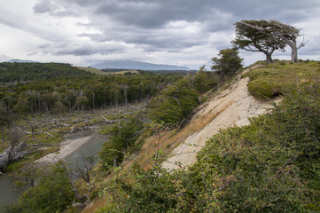 Fototapeta na wymiar Landscapes of Tierra del Fuego