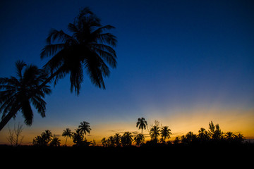 Cores - Final de tarde