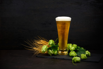 Glass of beer with green hops and wheat ears on dark wooden table. Still life