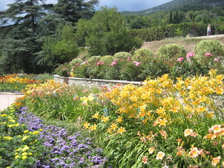 flowers in the garden