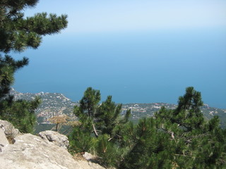 landscape with trees and blue sky