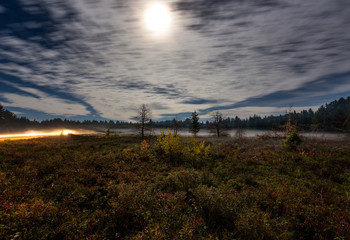 Moonlight and car trail on a foggy night in a meadow